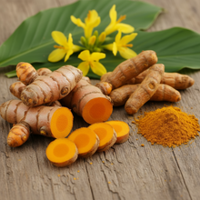 Wild Turmeric (Curcuma Aromatica)