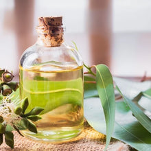 Eucalyptus Essential Oil