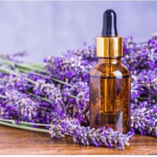 Lavender Essential Oil
