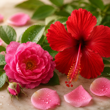 Rose & Hibiscus