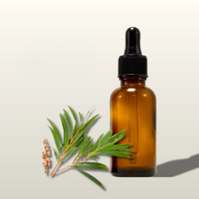 Tea Tree Essential Oil